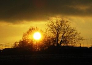 IMG_7477