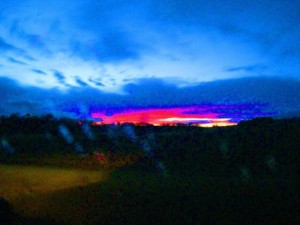 IMG_7934 (FILEminimizer)