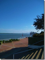 IMG_1128 (FILEminimizer)