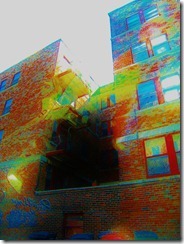 IMG_1479_thumb