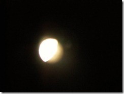 IMG_2178 (FILEminimizer)
