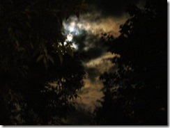 IMG_2566 (FILEminimizer)