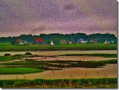 IMG_3185 (FILEminimizer)