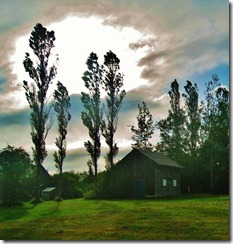 IMG_3405 (FILEminimizer)