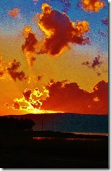 IMG_3456 (FILEminimizer)