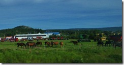 IMG_4355 (FILEminimizer) IMG_4355 (FILEminimizer)