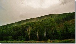 IMG_4481 (FILEminimizer)