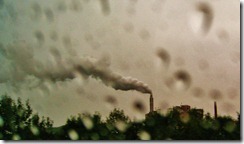 IMG_4485 IMG_4485