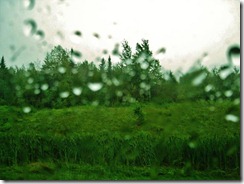 IMG_4505 (FILEminimizer) IMG_4505 (FILEminimizer)