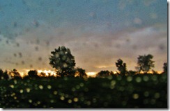 IMG_4519 IMG_4519
