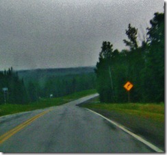 IMG_4536 IMG_4536