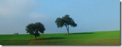 IMG_7043 (FILEminimizer)