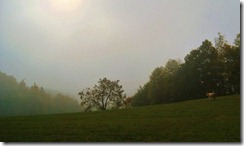 IMG_7152 (FILEminimizer)