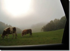 IMG_7153 (FILEminimizer)