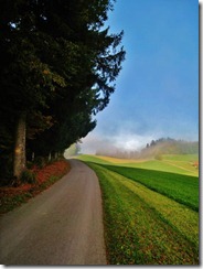 IMG_7283 (FILEminimizer)