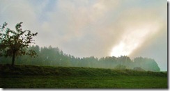 IMG_7323 (FILEminimizer)