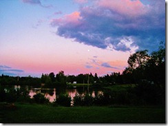 IMG_2171 (FILEminimizer)