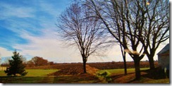 IMG_8066 (FILEminimizer)