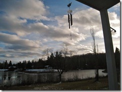 IMG_8156 (FILEminimizer)