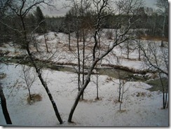 IMG_8433 (FILEminimizer)