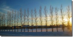 IMG_8599 (FILEminimizer)