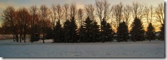 IMG_8622 (FILEminimizer)