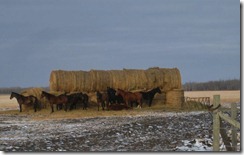 IMG_9163 (FILEminimizer) IMG_9163 (FILEminimizer)