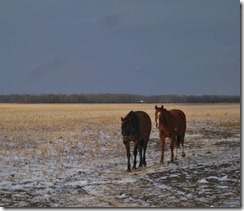 IMG_9167 (FILEminimizer) IMG_9167 (FILEminimizer)