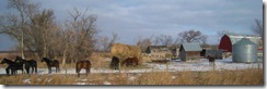 IMG_9184 (FILEminimizer) IMG_9184 (FILEminimizer)