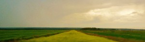 IMG_5377 (FILEminimizer)