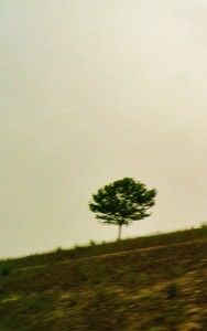 IMG_2999 (FILEminimizer)