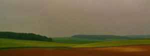 IMG_3003 (FILEminimizer)
